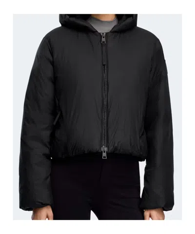 Canada Goose Cropped Black Puffer Jacket With Adjustable Hood