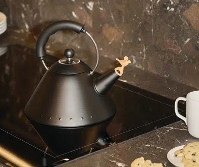 Alessi Bird-shaped Kettle In Black