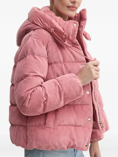 Geox Corduroy Quilted Jacket In Pink