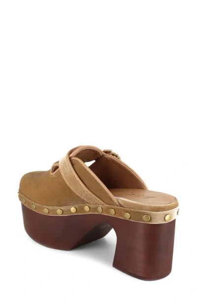 Zigi Macarena Platform Clog In Brown