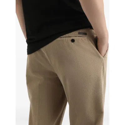 Dolce & Gabbana Trousers With Back Pockets And Belt Loops In Brown