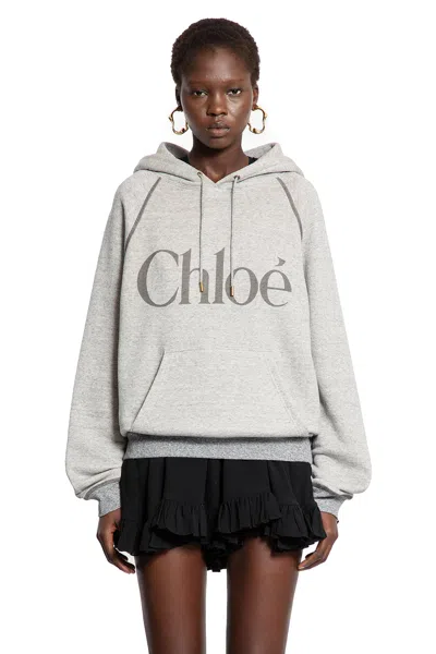 Chloé Cotton Blend Logo Hoodie In Gray
