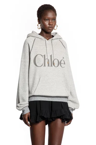 Chloé Cotton Blend Logo Hoodie In Gray