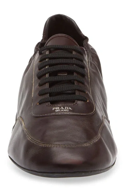 Prada Collapse Low Top Sneaker In Brown