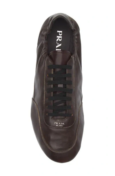 Prada Collapse Low Top Sneaker In Brown