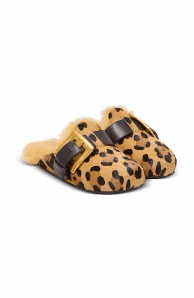 Balmain Anthem Leopard Print Ponyskin Leather And Faux Fur Mules In Brown