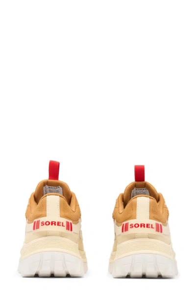 Sorel Women's Callsign Horizon Low Gtx Running Sneakers In Multi