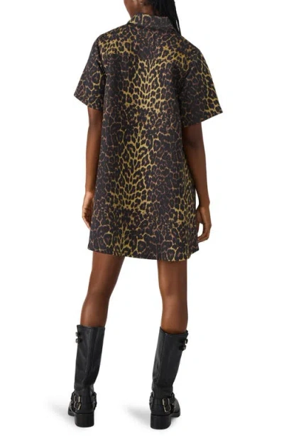 Steve Madden Women's Freddy Short Sleeve Dress In Brown