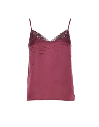 Twinset Bordeaux Top With Thin Strap And Logo Plaque On The Back In Fabric Woman In Burgundy