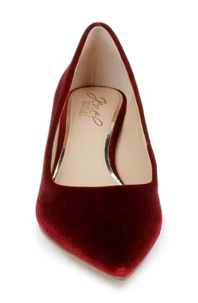 Jewel Badgley Mischka Women's Enola Velvet Pumps In Black