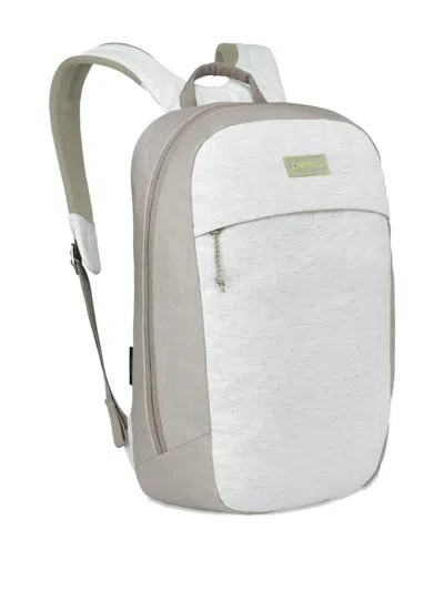 Osprey Earth Large Day Backpack In Gray