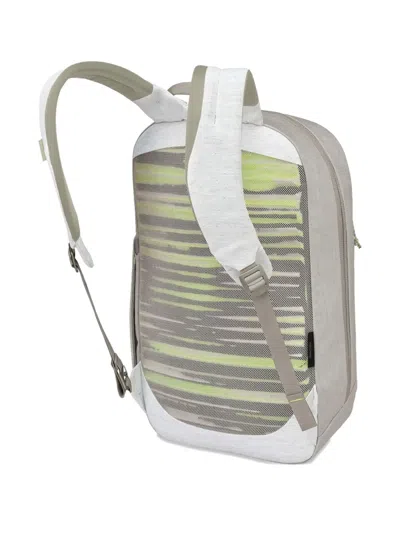 Osprey Earth Large Day Backpack In Gray
