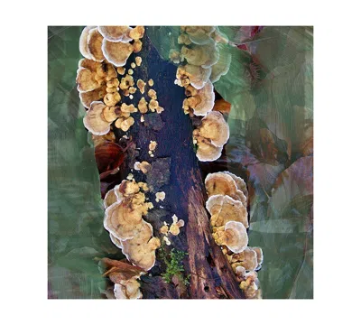 Byredo Oud Immortel Eau De Parfum Spray, 1.6 Oz. In Transparent