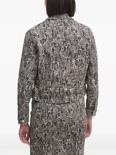 Joop Snake-print Denim Jacket In Gray