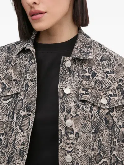 Joop Snake-print Denim Jacket In Gray