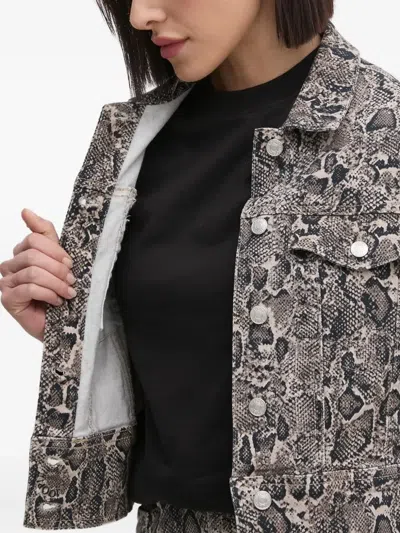 Joop Snake-print Denim Jacket In Gray