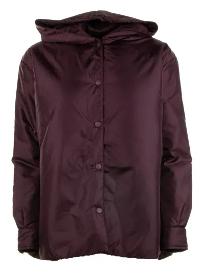 Aspesi Long-sleeved Button-up Hooded Jacket In Purple