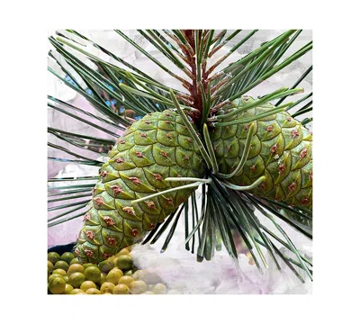 Byredo Unisex 6.8oz Gypsy Water Body Cream In White