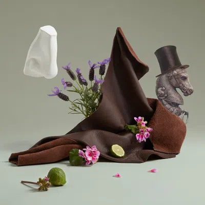 Penhaligon's Endymion Concentré In Multi