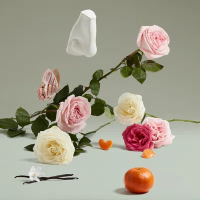 Penhaligon's The Coveted Duchess Rose In Multi