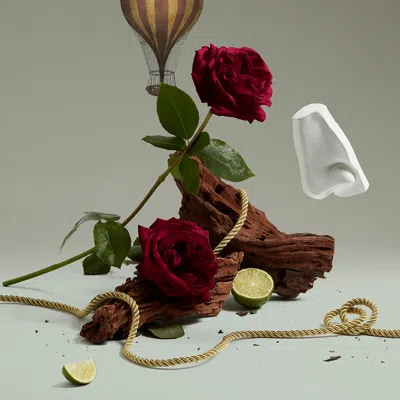 Penhaligon's Halfeti Hand Cream In Black