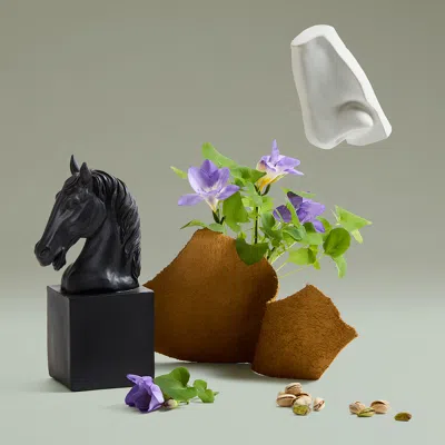 Penhaligon's Fortuitous Finley Eau De Parfum 2.5 Oz. In Green