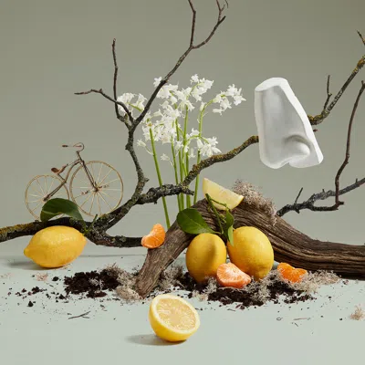 Penhaligon's Quercus Hand Cream In Multi