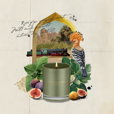 Penhaligon's Tabuk Harvest In Multi