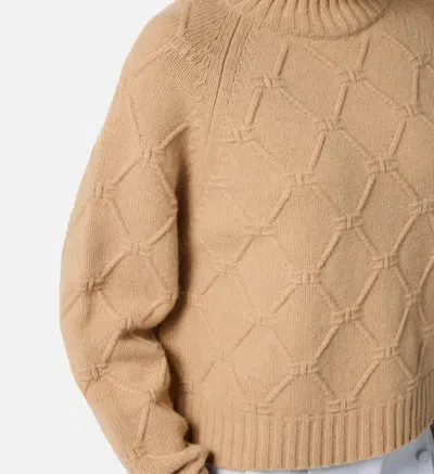 Elisabetta Franchi Textured Knit Mock Neck Top With Long Sleeves In Brown