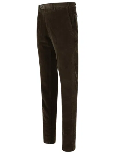 Pt Torino Belt Loop Casual Pants In Brown