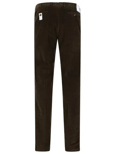Pt Torino Belt Loop Casual Pants In Brown