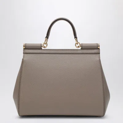 Dolce & Gabbana Grey Leather Sicily Big Top Handle Bag In Neutral