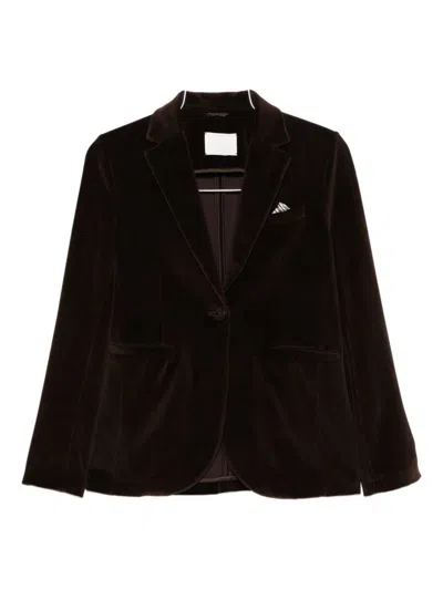 Circolo 1901 Velvet Blazer In Brown