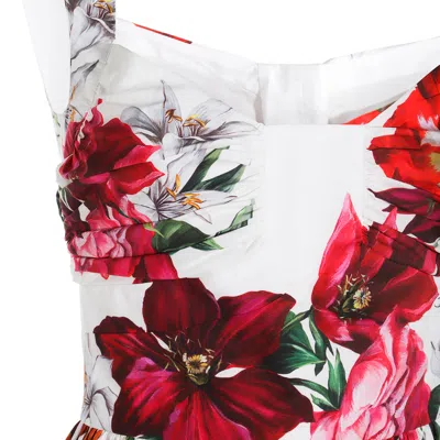 Dolce & Gabbana White Anemoni Print Cotton Midi Dress In Multi