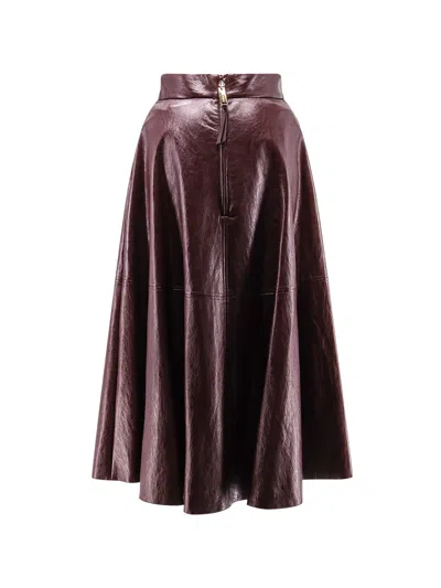 Elisabetta Franchi A-line Silhouette Skirt With Metallic Buckle Detail In Brown