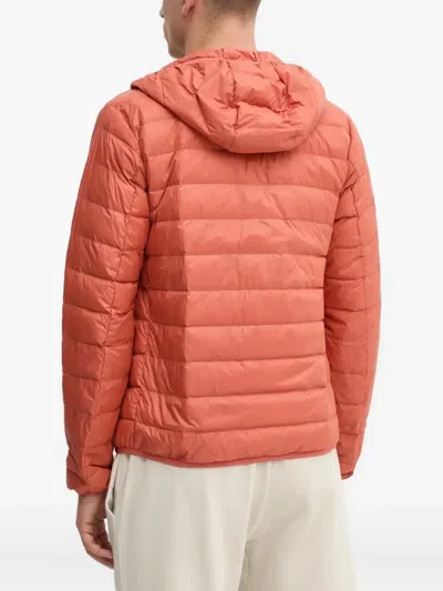 Ea7 Hooded Quilted Jacket In Red