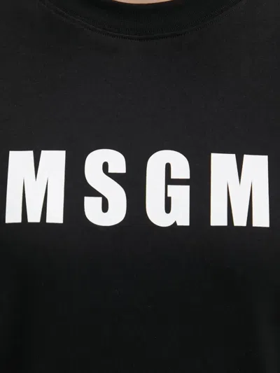 Msgm Logo-print Cotton T-shirt In Black