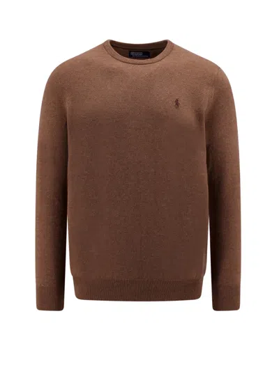 Polo Ralph Lauren Regular Fit Responsible Wool Sweater With Embroidered Logo In Brown