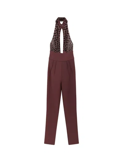 Elisabetta Franchi Halter-neck Sequin-embellished Jumpsuit In Burgundy