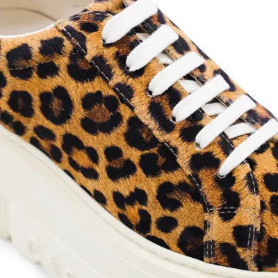 Casadei Leopard Print Malesia Sneakers