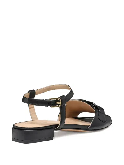Geox New Eraklia Ankle-strap Flat Sandals In Black