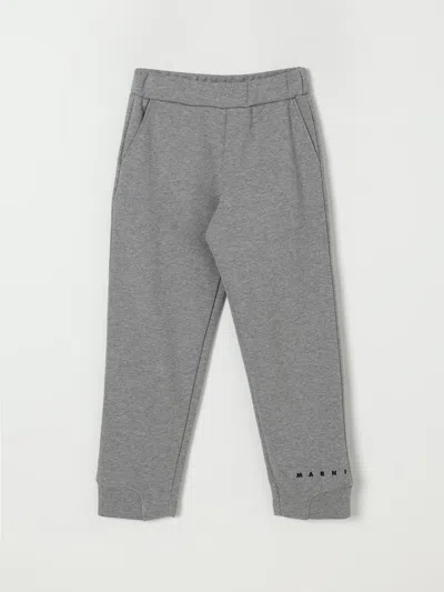 Marni Kids Gray Fleece Trousers In Gray