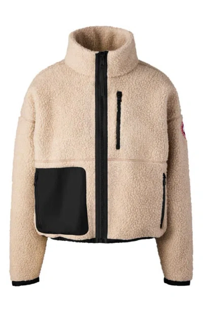 Canada Goose Womens Light Tan-tan Clair Simcoe Fleece Wool-blend Jacket Xs In Brown