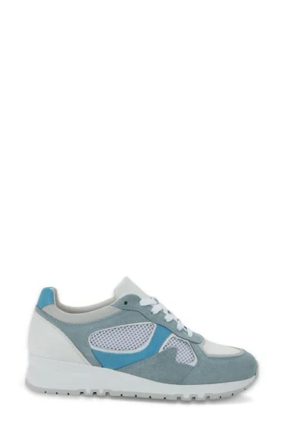 Naot Collins Sneaker In Blue