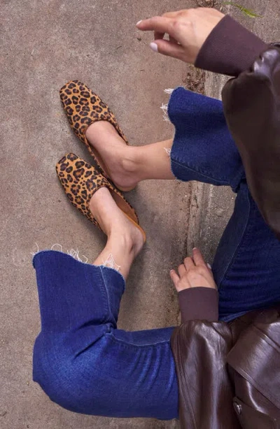 Seychelles Prim And Proper Mule In Animal Print