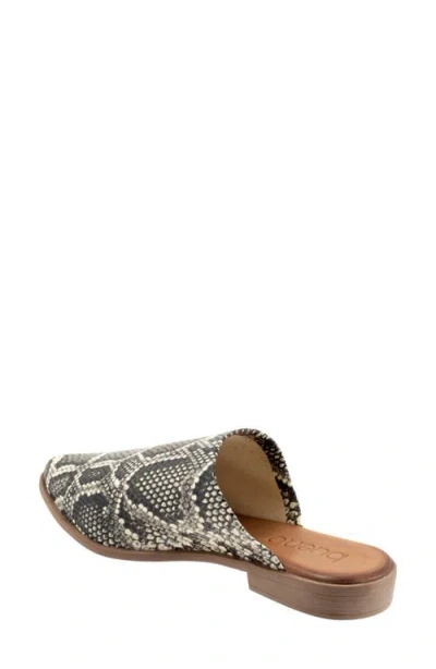 Bueno Bambi Pointed Toe Mule In Black