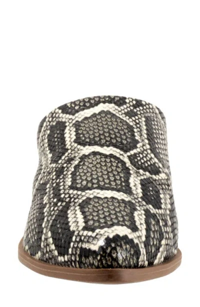 Bueno Bambi Pointed Toe Mule In Black