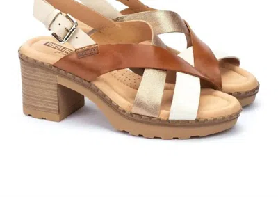 Pikolinos Canarias In Nata In Brown