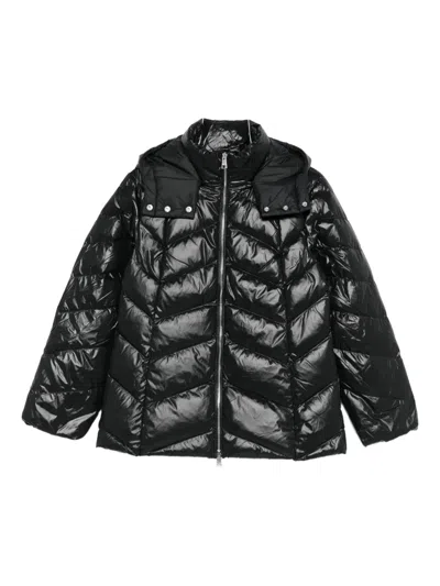 Liu •jo Lightweight Quilted Jacket With High Collar In Black