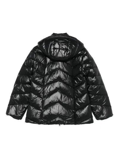 Liu •jo Lightweight Quilted Jacket With High Collar In Black